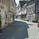 Schwartzer Loewe Babenhausen (Hessen)
