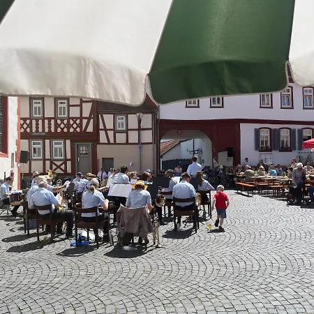 Schwartzer Loewe Babenhausen (Hessen)