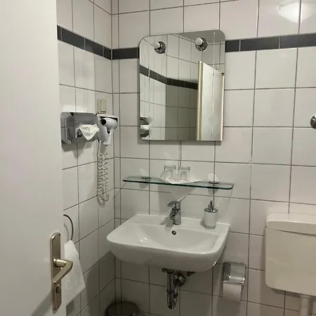 فندق Schwartzer Loewe 2*