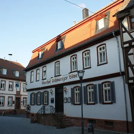 Schwartzer Loewe Babenhausen (Hessen)