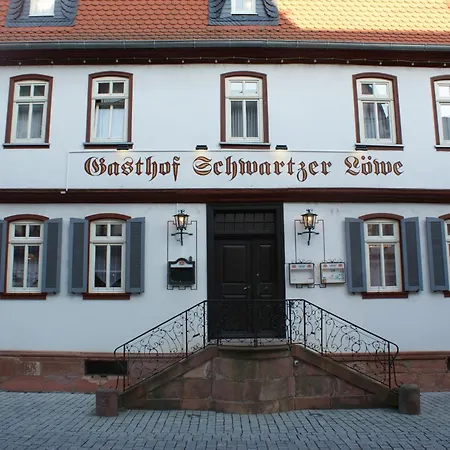 Hotel Schwartzer Loewe 2*