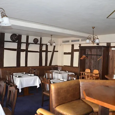 فندق Schwartzer Loewe بابينهاوزن