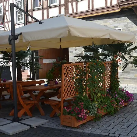 Schwartzer Loewe Hotel 2*