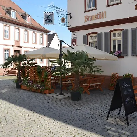 Schwartzer Loewe Babenhausen (Hessen)