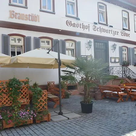 Schwartzer Loewe Hotel