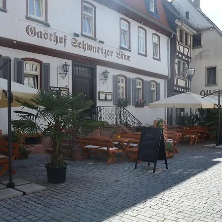 فندق Schwartzer Loewe