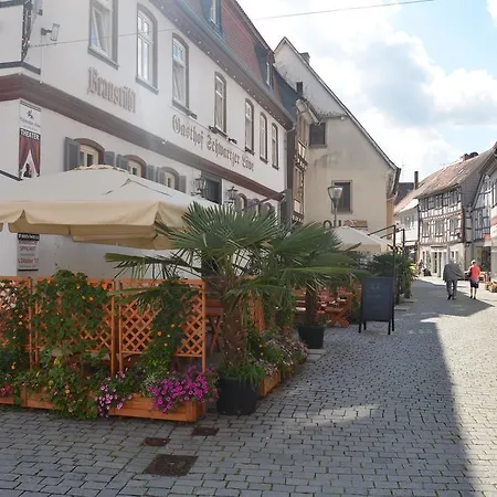 فندق Schwartzer Loewe 2*