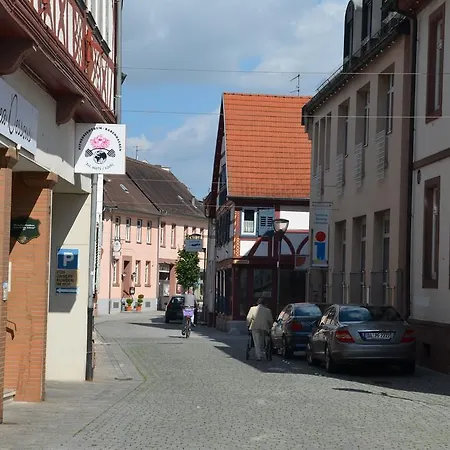 Schwartzer Loewe فندق 2*