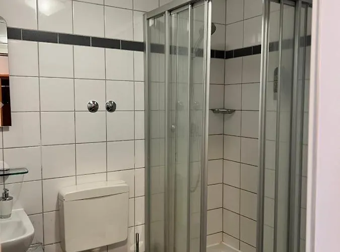 Schwartzer Loewe Hotel 2*