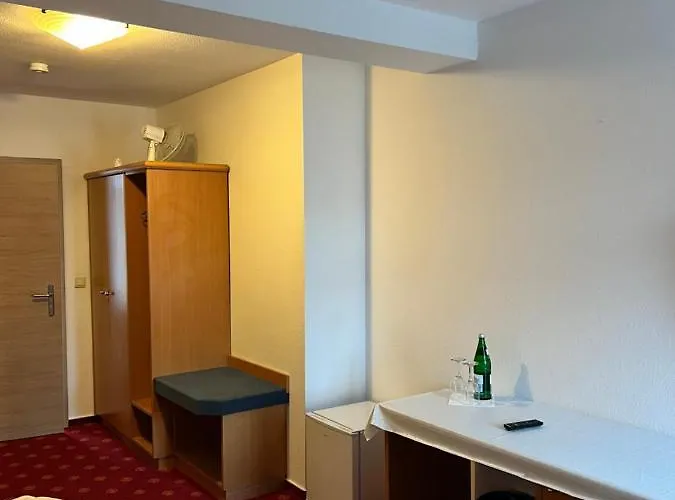 Hotel Schwartzer Loewe 2*