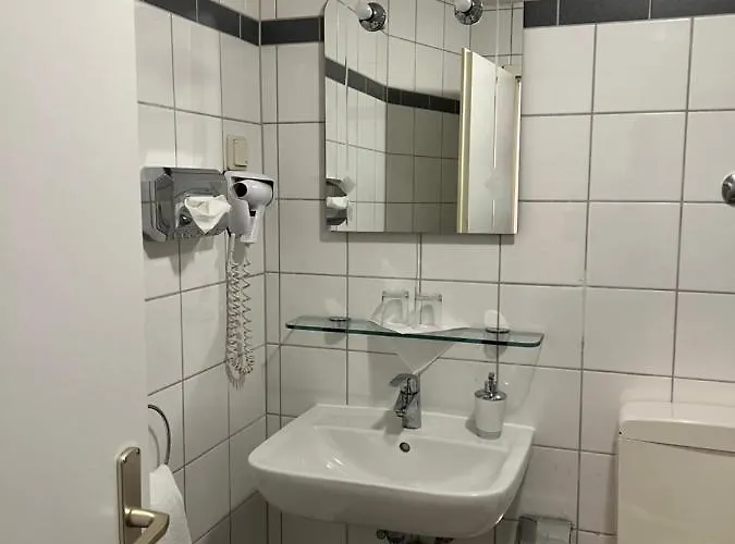 Hotel Schwartzer Loewe 2*