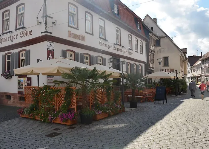 Schwartzer Loewe 2* Babenhausen (Hessen)