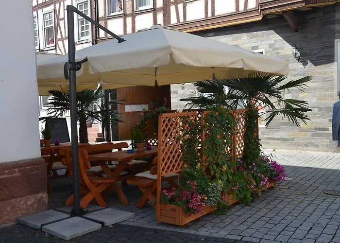 Schwartzer Loewe Hotel 2*