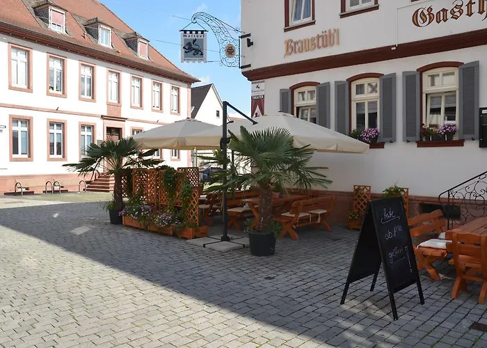 Schwartzer Loewe Babenhausen (Hessen)