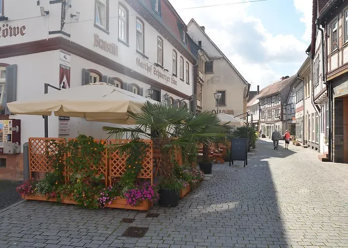 Hotel Schwartzer Loewe 2*