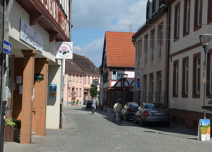 Schwartzer Loewe Hotel 2*